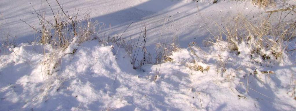 Kameninovou zídkou obehnaný pramen se nachází u vchodu na Střelnici Střední lesnické školy Hranice a Školního polesí Valšovice. V minulosti se v lese nad Bezuchovem nacházel menší rybník.