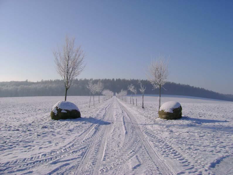 Do budoucna je navrhována jako přírodní památka (vyčteno na http://www.drusop.nature.cz).