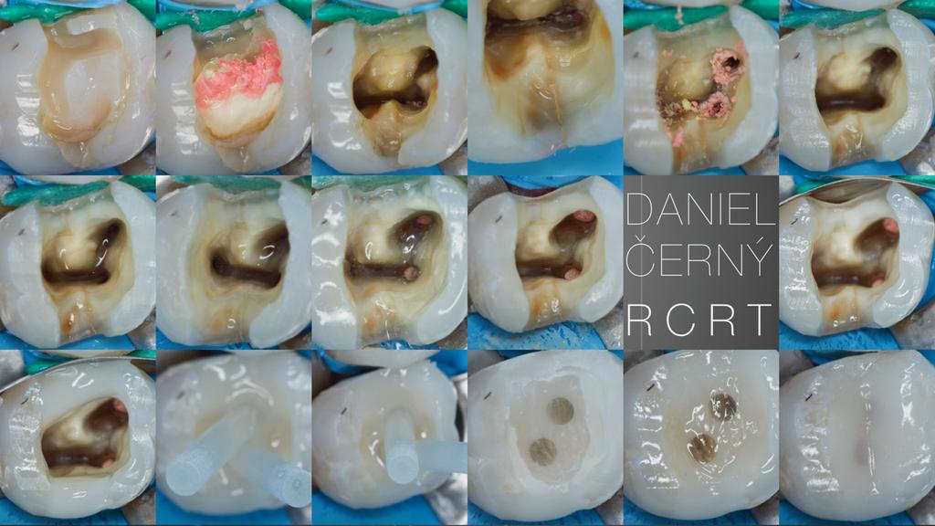 Od roku 2001 až dodnes pracuje ako špecialista na endodonciu a záchovné zubné lekárstvo na súkromnej stomatologickej klinike DCM v Hradci Králové, ktorej je zároveň spoluvlastníkom (od roku 2010).