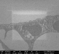 pryskyřice 100 nm Normalized signal [-] 1 0.9 0.8 0.7 0.6 0.