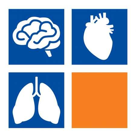 Microcirculation Diagnostics and Applied Studies Nová