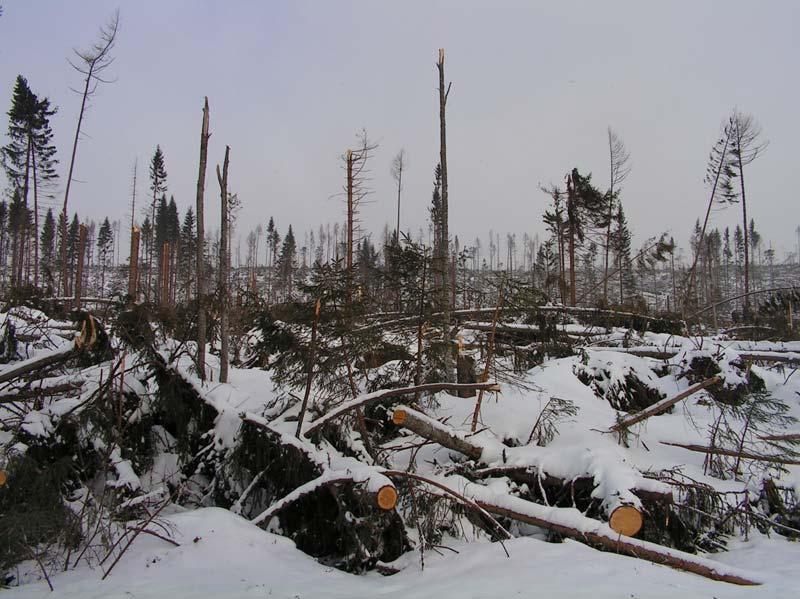 Zákon č.. 543/2002 Z. z. o ochrane prírody rody a krajiny 17 ods.