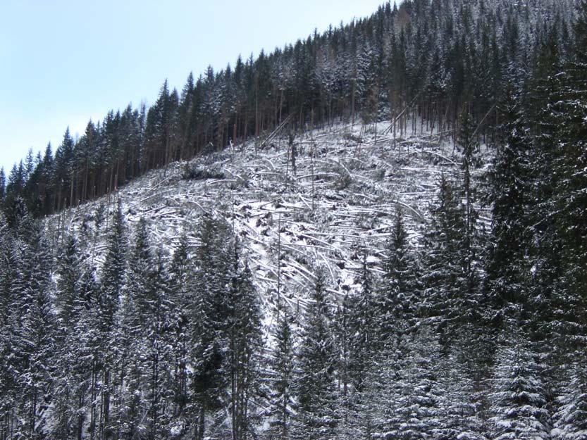 odkôrňovanie -drážkovanie 2.