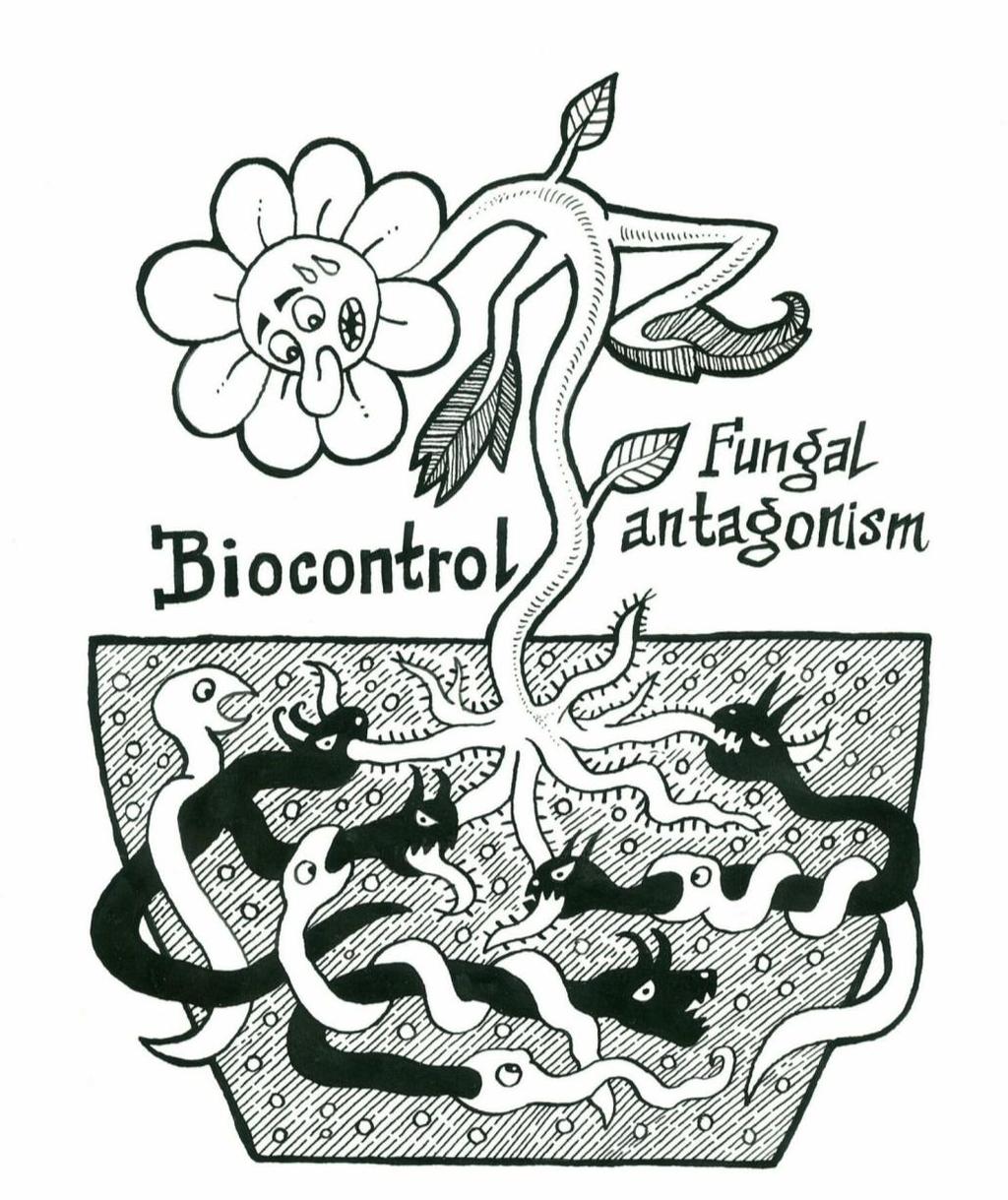 Biologická ochrana a prevencia