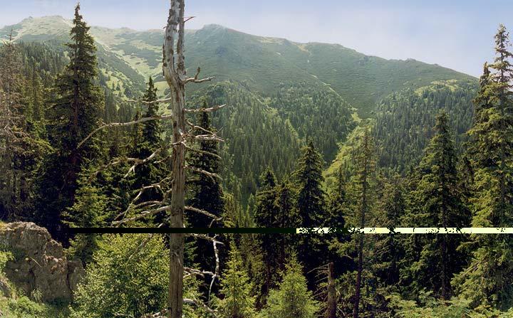 NÁRODNÉ