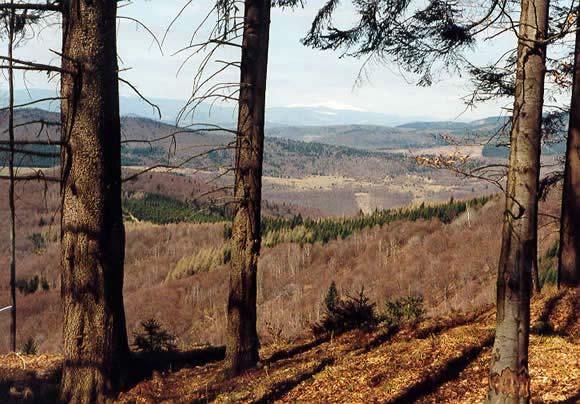 Opatrenia a ich financovanie sús stanovené na