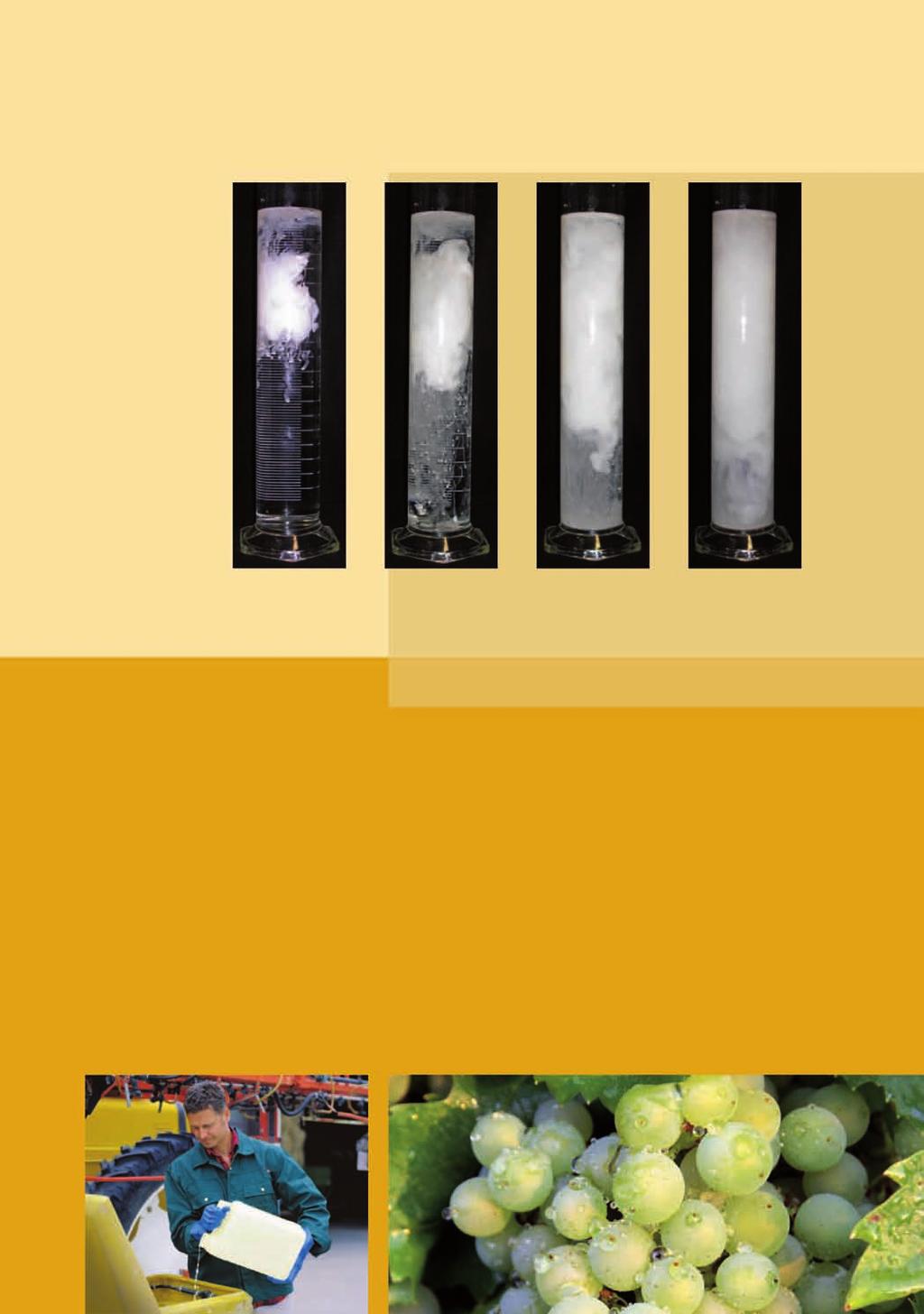 FORMULÁCIA Moderná formulácia prípravku Vivando Formulácia Suspenzný koncentrát založený na vodnej báze (SC) Zloženie 500 g/l (42,2 hm%) metrafenónu Manipulácia Rýchlo sa rozpúšťa (disperguje) vo