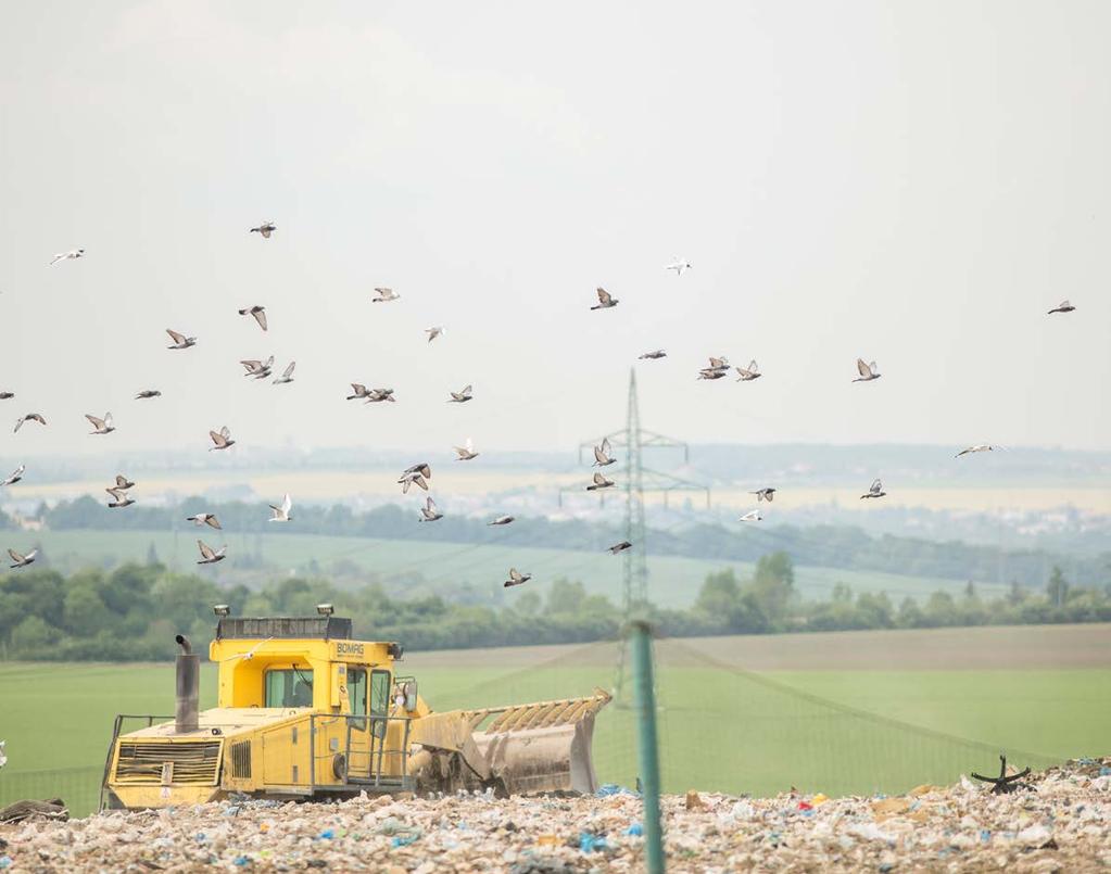 Emise CO 2 e snižujeme na nulu Věděli jste, že je Česká republika skládkovou velmocí a že při skládkování uniká do ovzduší skládkový plyn, který by se dal využít podobně jako bioplyn?