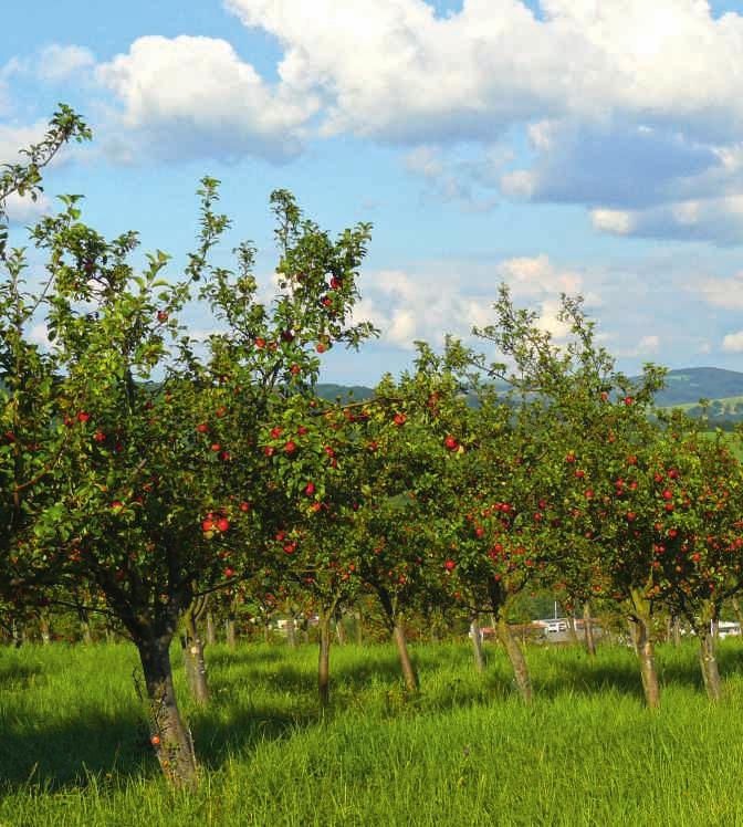 6 Informační materiál pro zemědělce 7 Foto: Iva Nováková vody a jiných citlivých lokalit. Všechny požadavky jsou stanoveny na základě platných národních právních předpisů.