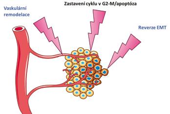 Působením na mikrotubuly eribulin účinkuje antimitoticky v G2/M fázi buněčného cyklu, ničí mitotické vřeténko a způsobuje apoptózu.