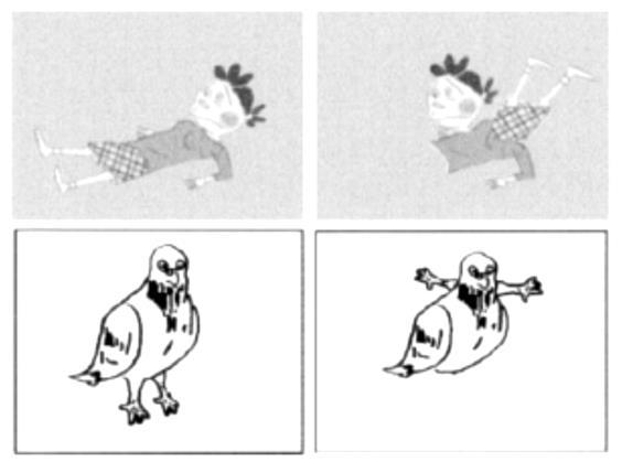 Obrázek 7: Stimul tučňáka z tréninku (obrázek vlevo) a stimuly zamíchané v rámci kvadrantů prezentované v experimentu III (Van Hammer a kol. 1992). 1.1.3.