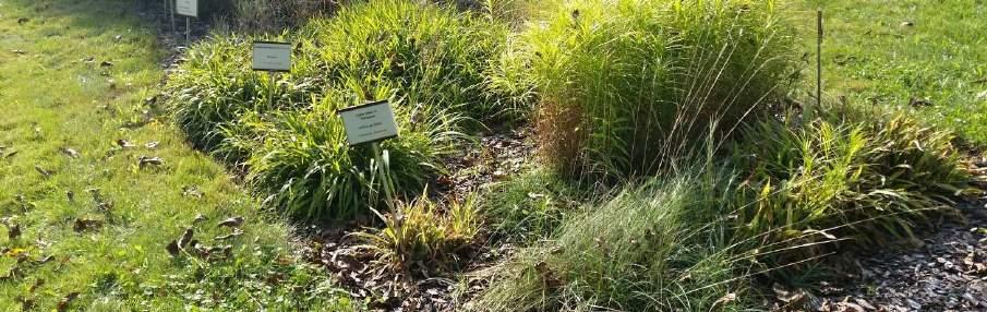 Vše má pod palcem náš bývalý člen, dnes ředitel Botanické zahrady