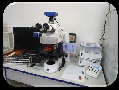 Oddělení nanomateriálů v přírodních vědách Axio Vision Imager M2 Zeiss Fluorescenční mikroskop pro biologický, medicínský a materiálový výzkum Parametry: Snímkování v odraženém a průchozím světle,