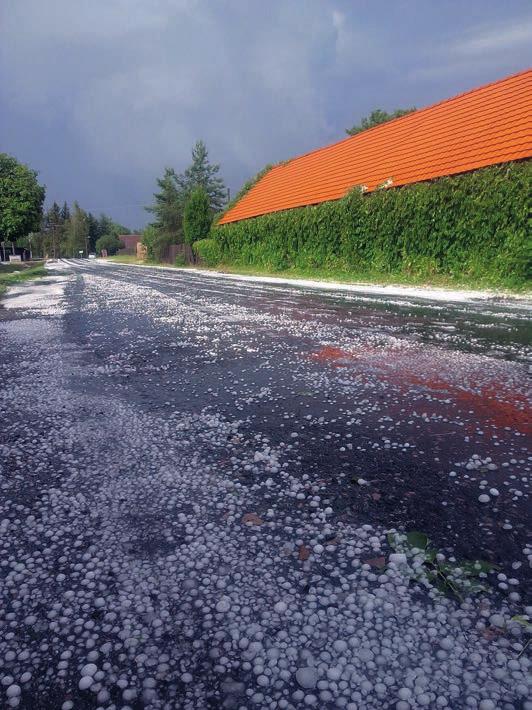 Nymburk Ve středu 28.