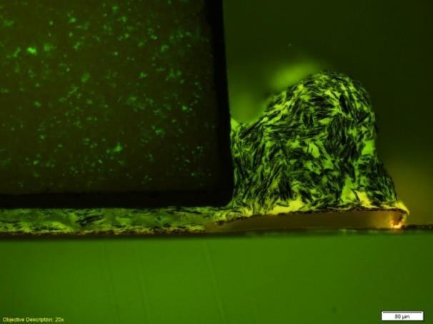 Obrázek 40: Metalografické výbrusy odtrženého lepeného spoje na FDPS Ag snímaného na fluorescenčním mikroskopu použité lepidlo MG 8331S U výsledků vzorků testovaných na flexibilním substrátu s