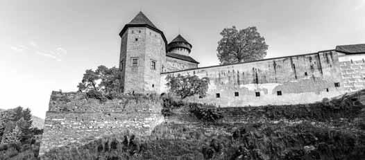 : 554 219 863 (rezervace) Stálé expozice Zlomky minulosti, Střípky z historie hradu, Historie lesnického školství na hradě Sovinci, Zbraně ze sbírek Muzea v Bruntále.