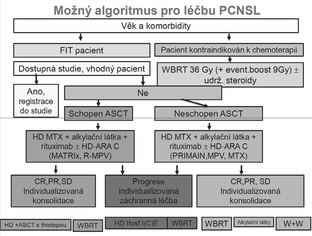 K doplňujícím vyšetřením patří PET) a UZ varlat. vyšetření kostní dřeně (histologické případně cytologické ev.