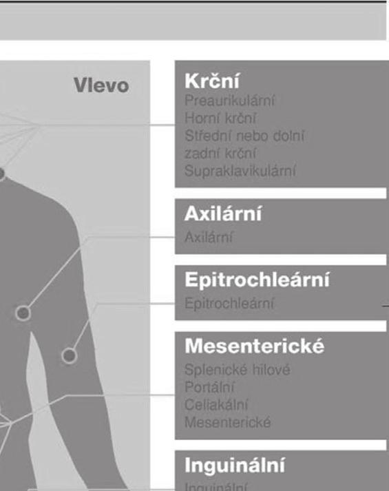 lokalizace, KS I (postižení WO a postižení krčních uzlin = KS II dle Ann Arbor klasifi kace atd.