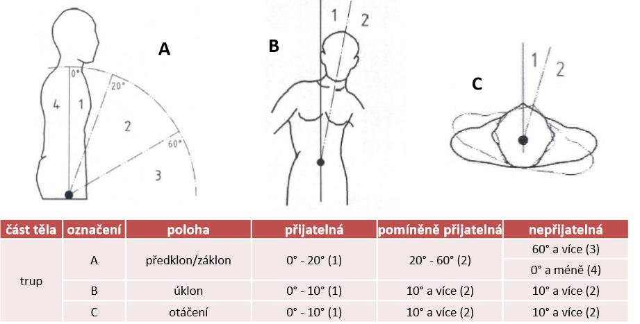 Pracovní místo Pracovní místo musí být uspořádáno tak, aby manipulační roviny, pohybové prostory a vynakládané síly odpovídaly tělesným rozměrům a přirozeným drahám pohybů končetin zaměstnance a aby