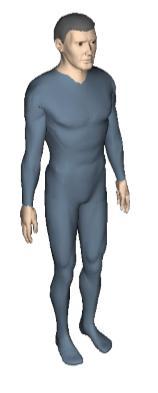 libovolných rozměrů a proporcí Biomechanický model člověka má celkem 69 segmentů a 68 kloubů.