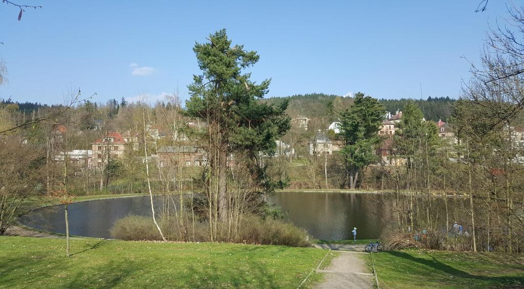 NOVOVESKÉ