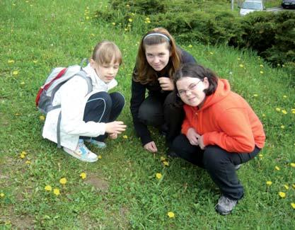 Projekt: Environmentální vzdělávání, výchova a osvěta dětí, mládeže a dospělých s Lískou Zajištění osvětových a vzdělávacích aktivit v souladu s posláním Lísky a s ohledem na skupiny obyvatel města