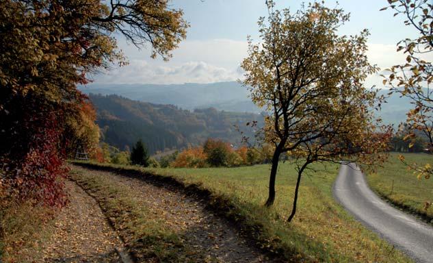 7. Plánované činnosti Lísky v roce 2011 STABILIZACE A ROZVOJ AKTIVIT: Environmentální informační a komunikační systém: elektronická rozesílka, Krajský kalendář akcí, webové stránky, databáze,