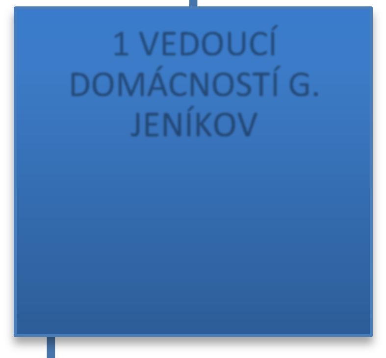 1 ÚČETNÍ 1 VEDOUCÍ DOMÁCNOSTÍ G. JENÍKOV 1 MZD.