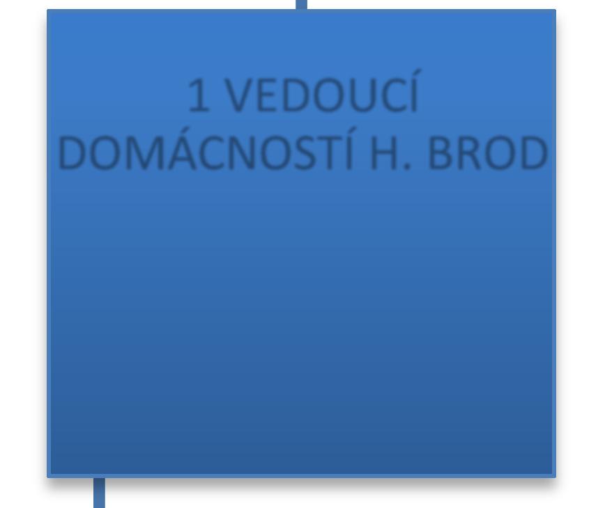 0,667 VEDOUCÍ DOMÁCNOSTÍ SV 2 DOZP - VMP 2 DOZP -