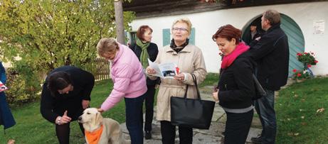 ZE ŠKOL a poté venku na trávníku kolem něho z barevných listů vytvořily duhu.