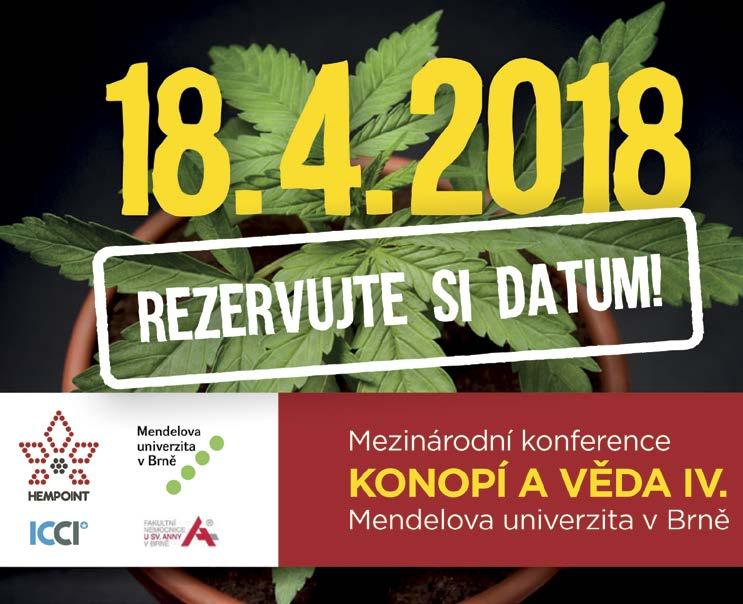 Efekt transkraniální stimulace tdcs na zrakovou pozornost u pacientů s mírnou kognitivní poruchou studie kombinující MRI a neinvazivní mozkovou stimulaci, spoluřešitelka prof. MUDr.