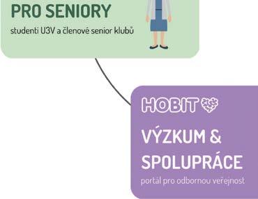 E- -learning je rozdělený do několika kapitol a uživatel se postupně dozví vše nezbytné o příznacích, mechanismu vzniku i správné reakce na mozkovou mrtvici.