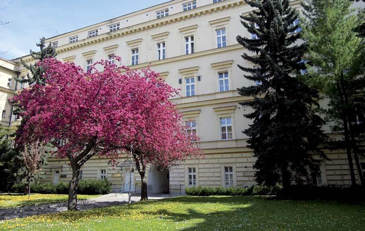 Nedostatek zdravotnického personálu, to je téma ožehavé, skloňované ve všech pádech. K tomuto tématu se ze svojí pozice v časopise vyjadřuje náměstkyně ošetřovatelské péče, Jana Zvěřinová.