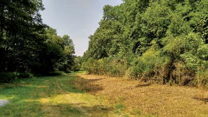 století Co tu všechno bylo? Při vstupu každý dostal čestnou vstupenku v podobě originální záložky do knihy. Koupalo se ve velkém (nafukovacím) bazénu a brouzdališti, nechyběla ani sprcha a plavčík.