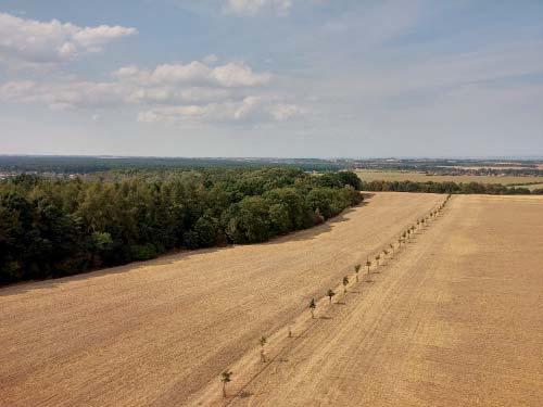 zprávy z města Život Úval 9/2018 Z náměstí pokračuje městská stezka kolem kostela Zvěstování Páně přes lávku směrem na vrch Vinice, který se vypíná nad centrem Úval.