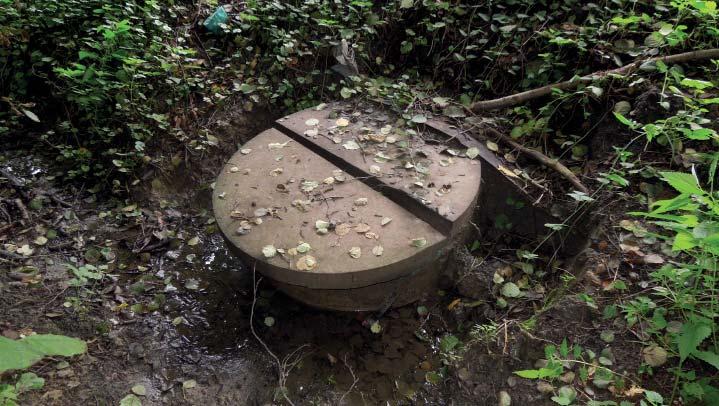 (MG) Přírodní památka U Rybníka Přírodní památku představuje minerální pramen v údolí potoka Baláš, který protéká Malenovicemi.
