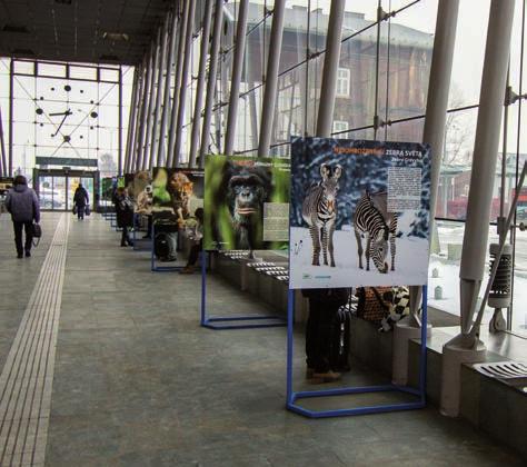 Výstava na nádraží Ostrava Svinov / An exhibition at the Ostrava Svinov railway station Propagace zoo Monika Vlčková a Šárka Nováková Reklama v České republice Letní a zároveň nejrozsáhlejší kampaň v