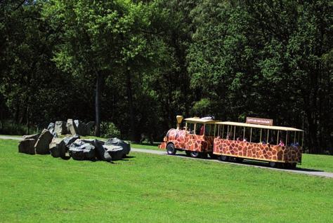 Nová souprava safari expresu / A new set of the Safari Express road train Technické oddělení v roce 2017 Tomáš Dvořák Stavební práce a údržba Nejdůležitější a nejvýraznější stavební akcí realizovanou