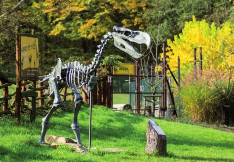 Financial operations in 2017 Pavlína Konečná and Dagmar Dubská In 2017, the zoo completed its financial year by achieving an operating profit amounting to 3,138,000 CZK. 1.