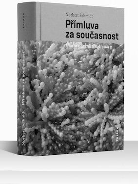 Kniha dokumentuje umělecké a prostorové intervence v kostele Nejsvětějšího Salvátora v letech 2009 2016 a v několika případech i umělecké a