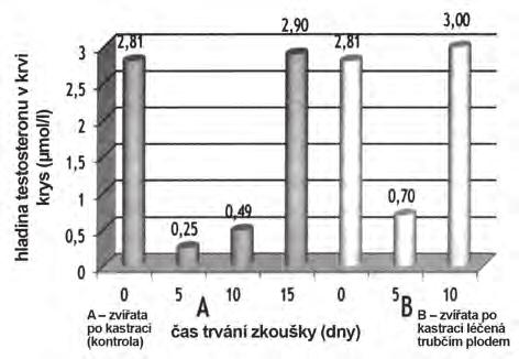 s kontrolní skupinou, která dostávala směs cukrovoželatinovou a u té se hladina zvýšila o 33 % (tab. 4).