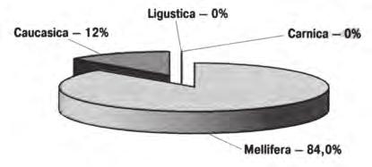 Výsledky identifikace včel Č. Ukazatel Hodnota 1. Křídla, ks 25 2. Počet neidentifikovaných křídel, % 16,0 3. Ukazatele: kubitální index 1,486 diskoidní posun -4,422 činkový index 0,857 4.