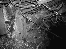 č 5 a) Důlně geologická situace nevrchní časti porubu v místě zpevnění, b, c) stvol vytvrzené injektážní pryskyřice, d)řez stvol vytvrzené injektážní pryskyřice s úlomky proinjektovaného