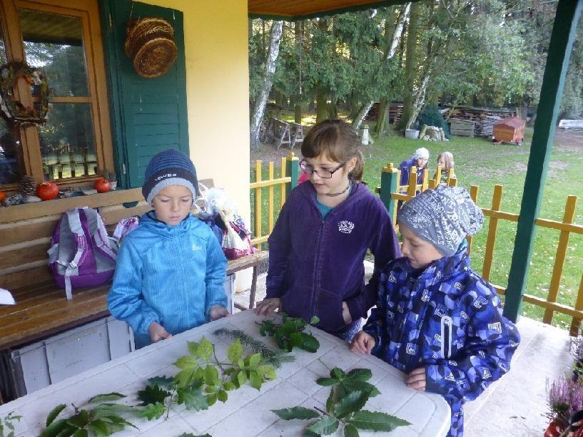 Zvířatům přinesly plno dobrot, užily si přírodovědné i pohybové soutěže a