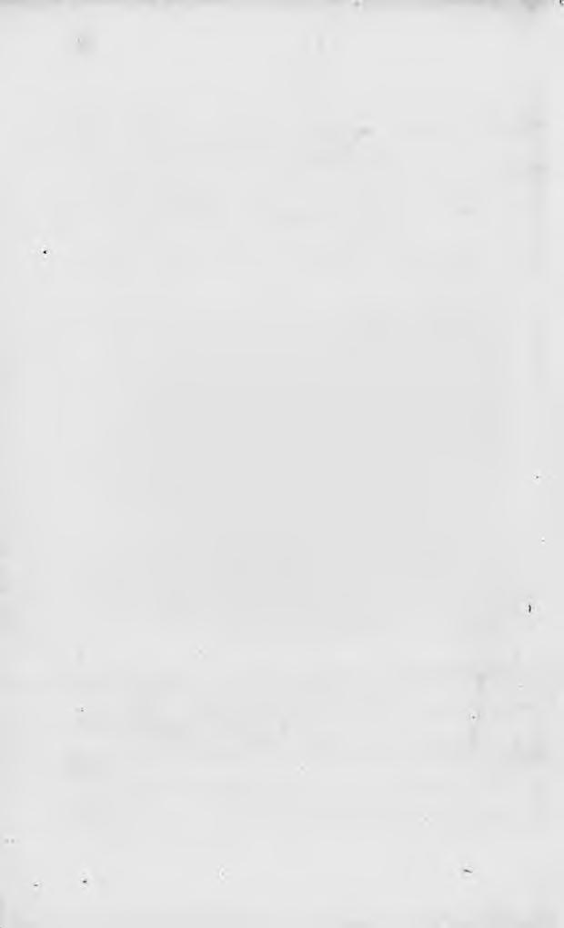 192 chladič 8 výkonem 50 hl.