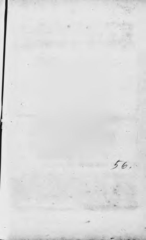 217 114 a. Hražení obor a klece pro bažanty. Výrobek arcivév. železáren v Chlumu u Třeboně. (Skup. XII.) 115.