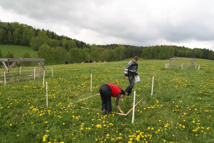 C. 1. Hlavní zaměření výzkumu vědeckých odborů ústavu v roce 2016 a.