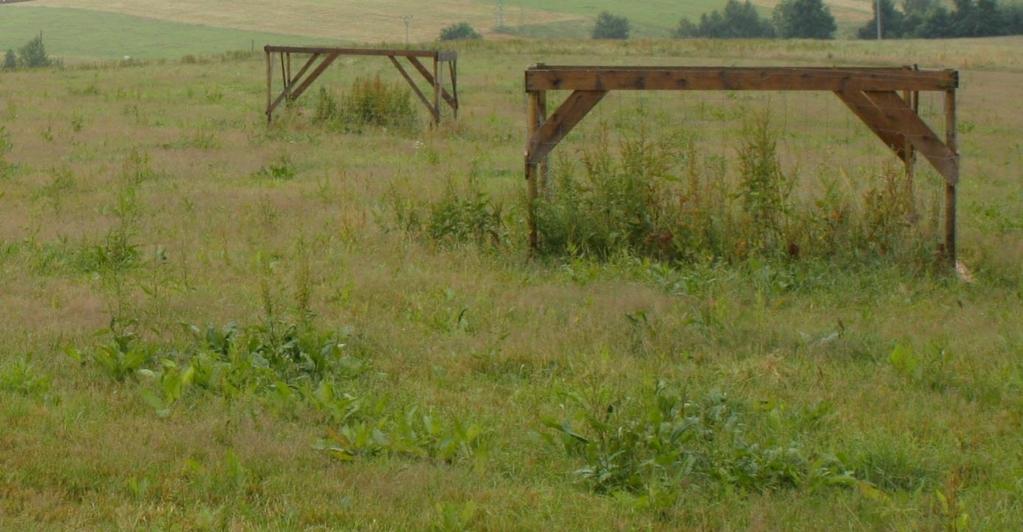 kontrolou vyšší na všech stanovištích, zvýšení výnosu se pohybovalo v rozmezí 3,3 až 4,8 %. Polní zkoušky zakončily sérii experimentů námi vyvinutého inokulantu, který bude uveden do praxe.