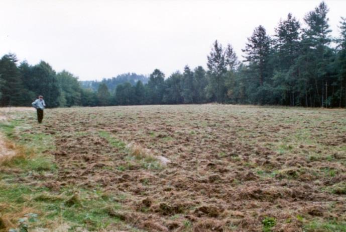 alternativní způsob obhospodařování v případě, kdy je problém s využitím travní biomasy.