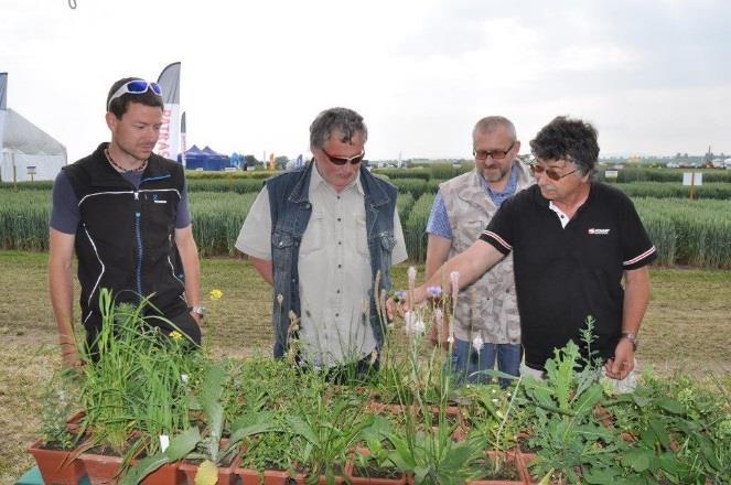 Účastníci si měli možnost prohlédnout laboratoře, skleníky, genovou banku, škodlivé organizmy a plevelné rostliny.